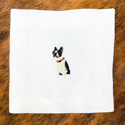 Boston Terrier