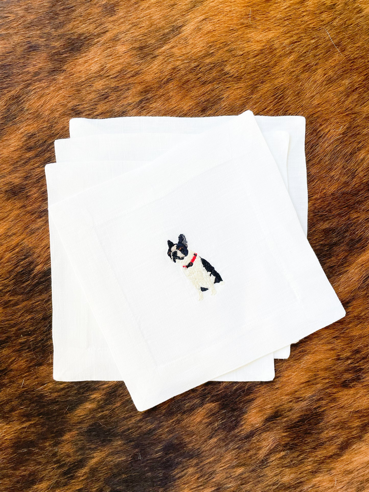 Boston Terrier