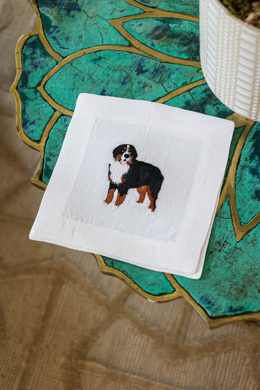 Bernese Mountain Dog