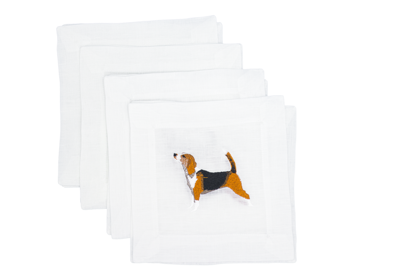 Beagle