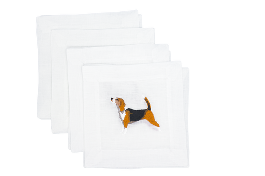 Beagle