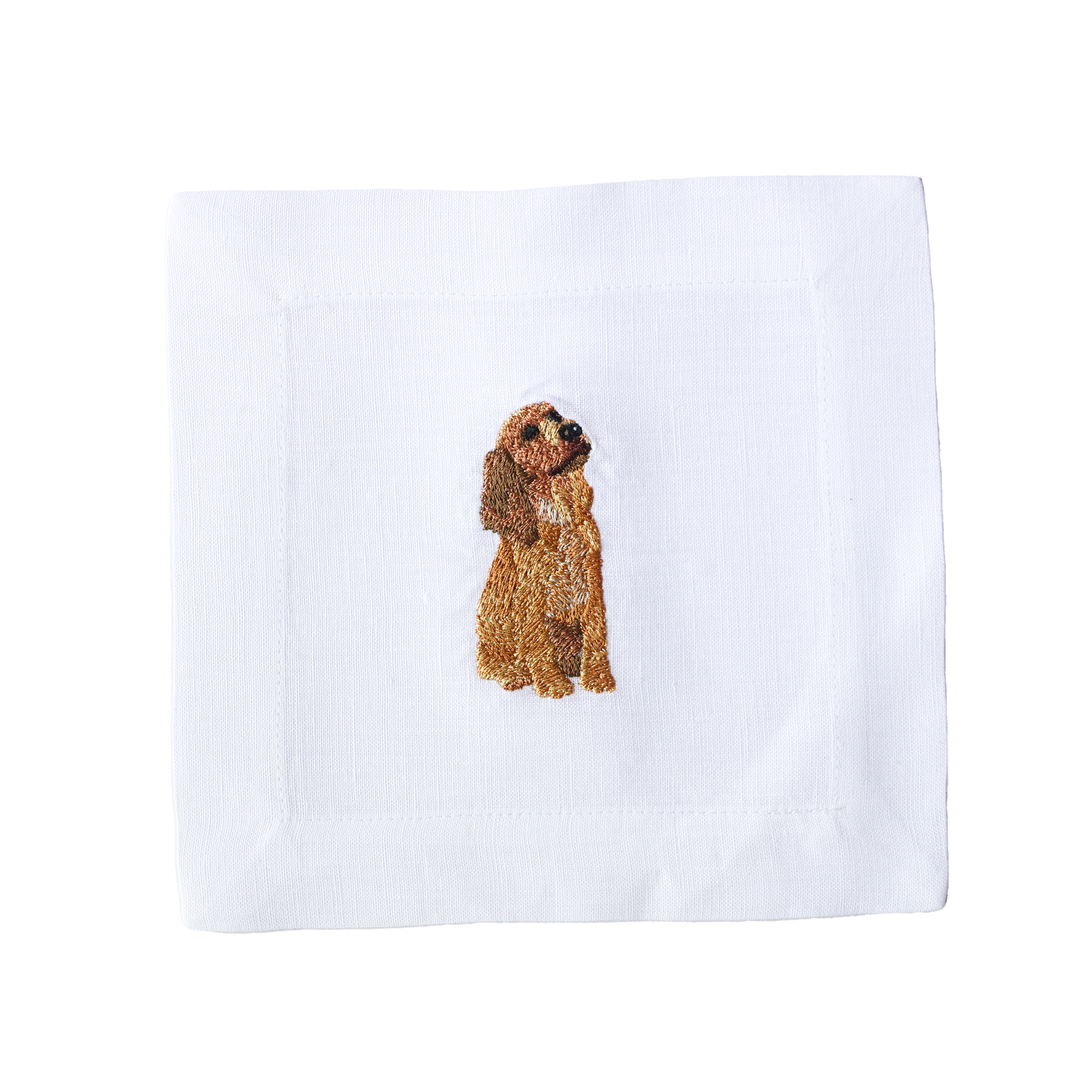 Cocker Spaniel