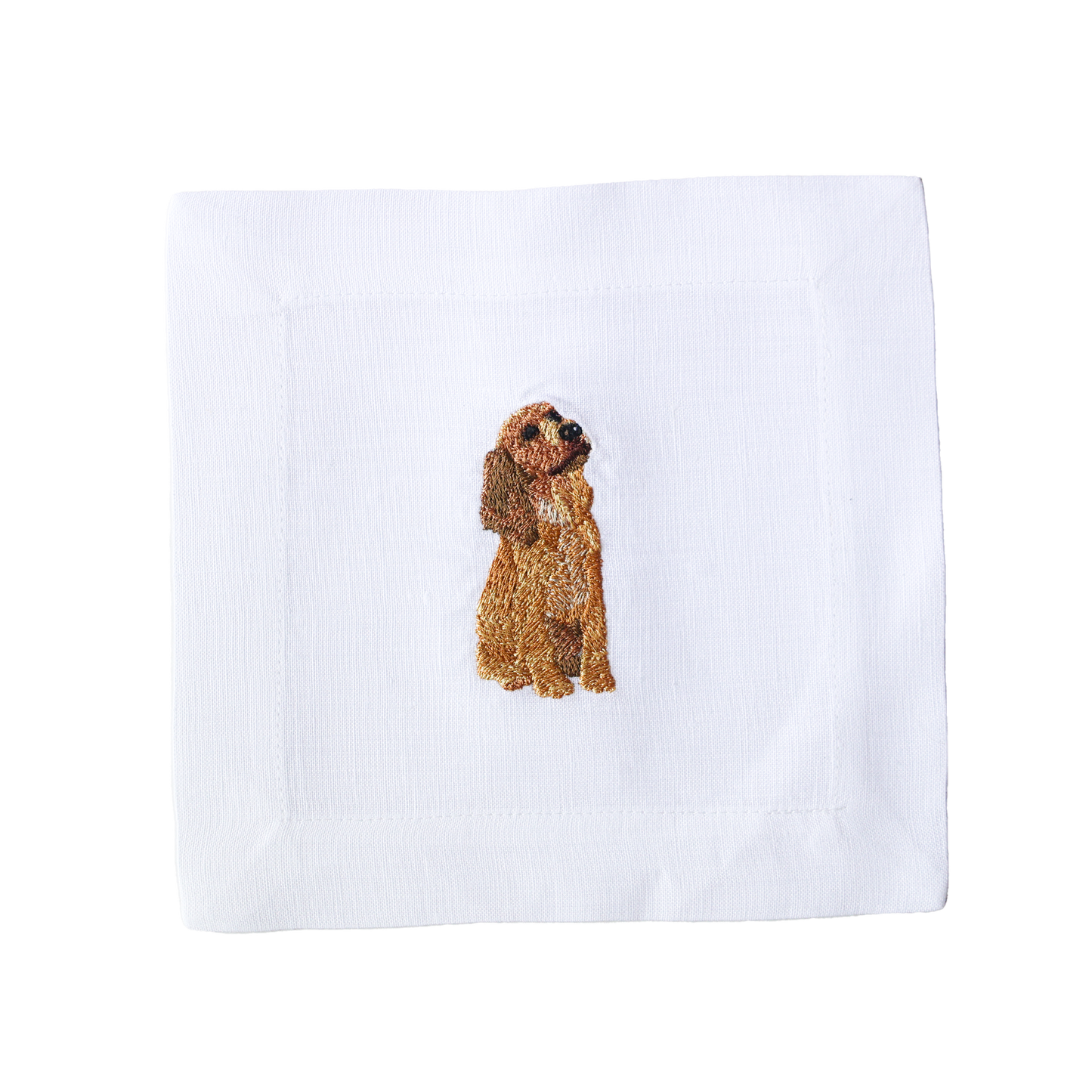 Cocker Spaniel