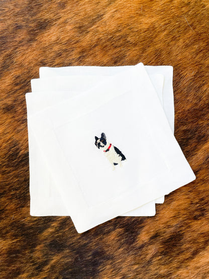 Boston Terrier