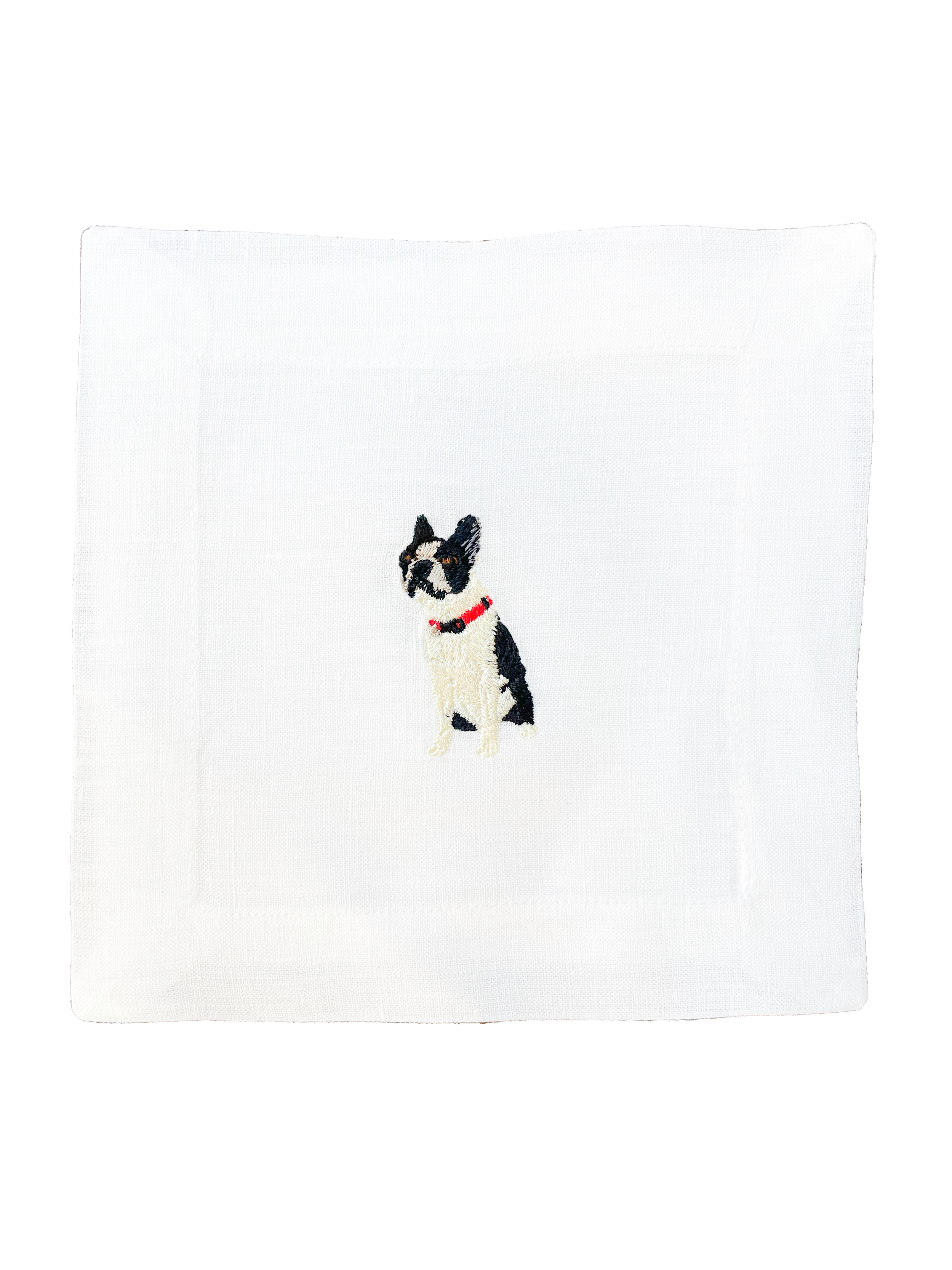 Boston Terrier