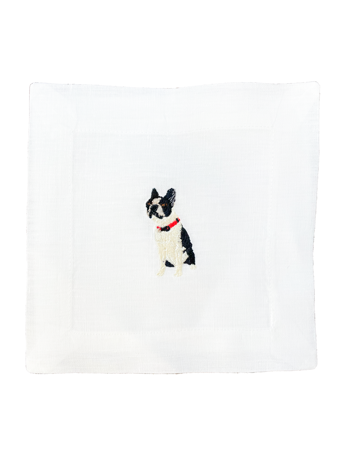 Boston Terrier