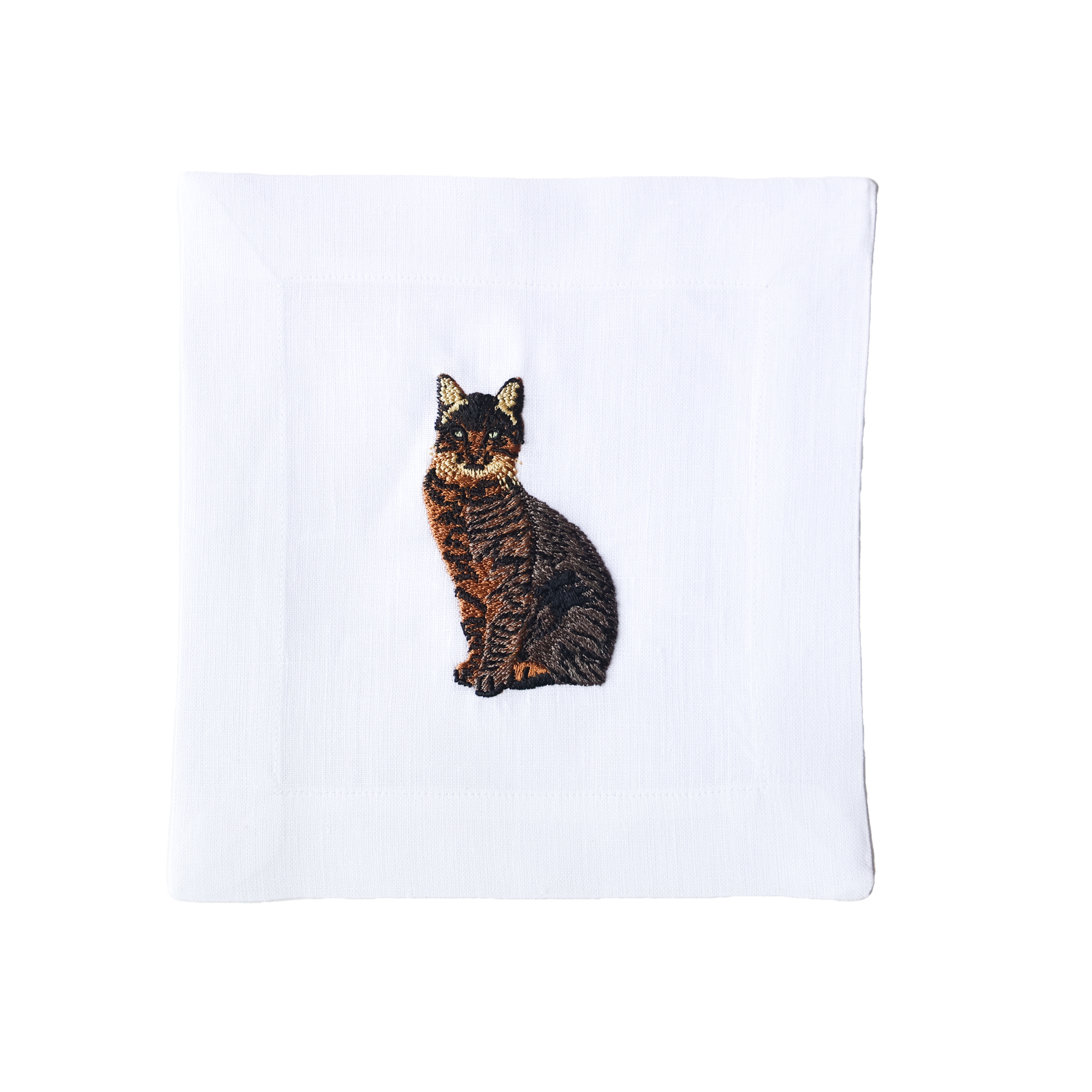 Tabby Cat