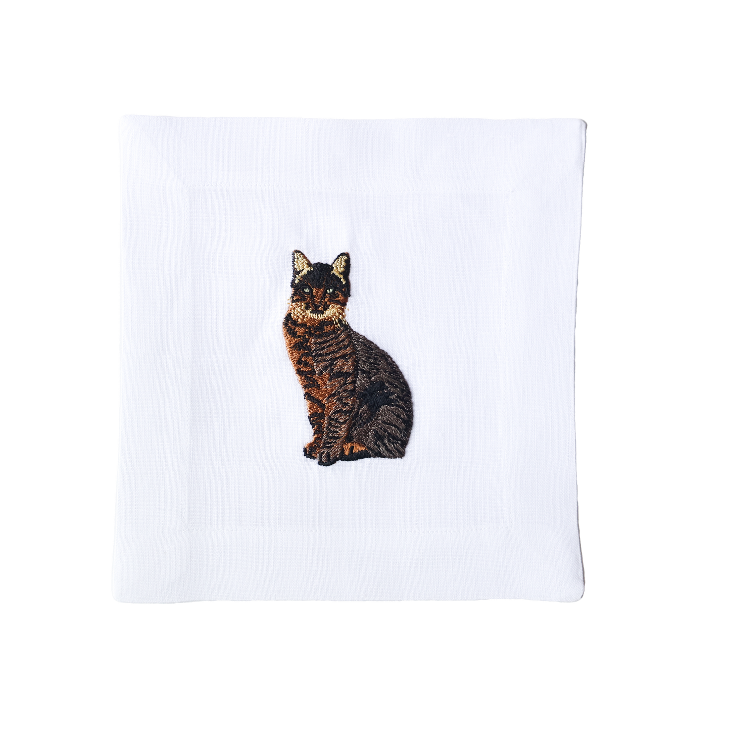 Tabby Cat