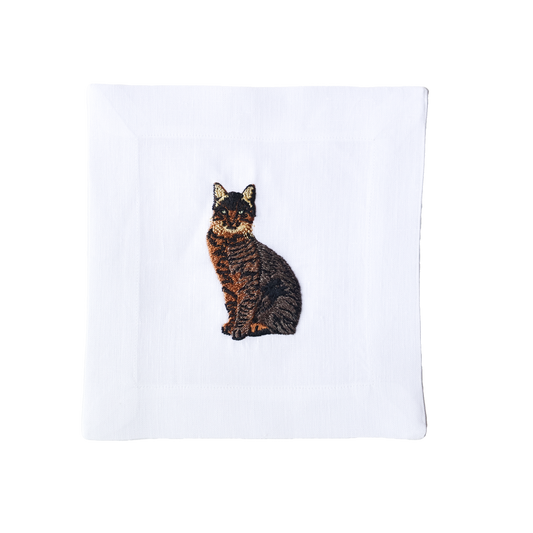 Tabby Cat