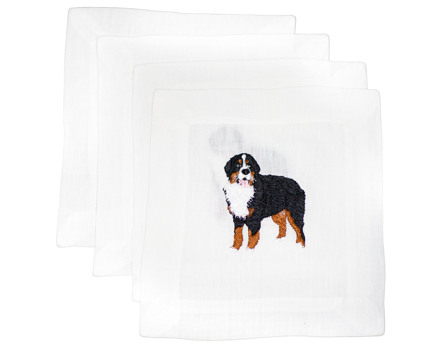 Bernese Mountain Dog