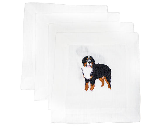 Bernese Mountain Dog