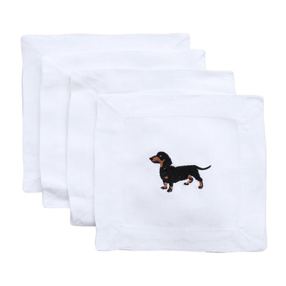 Dachshund